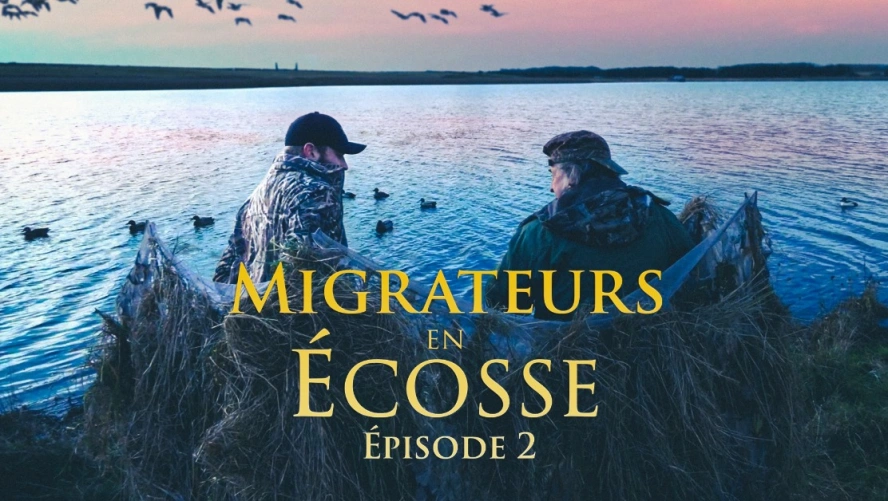 Migrateurs en Ecosse (épisode 2)