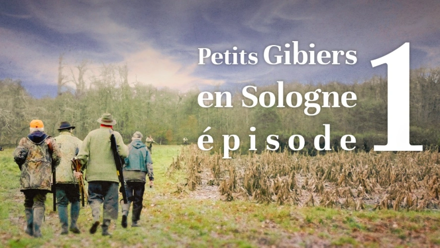 Petits Gibiers en Sologne (épisode 1)
