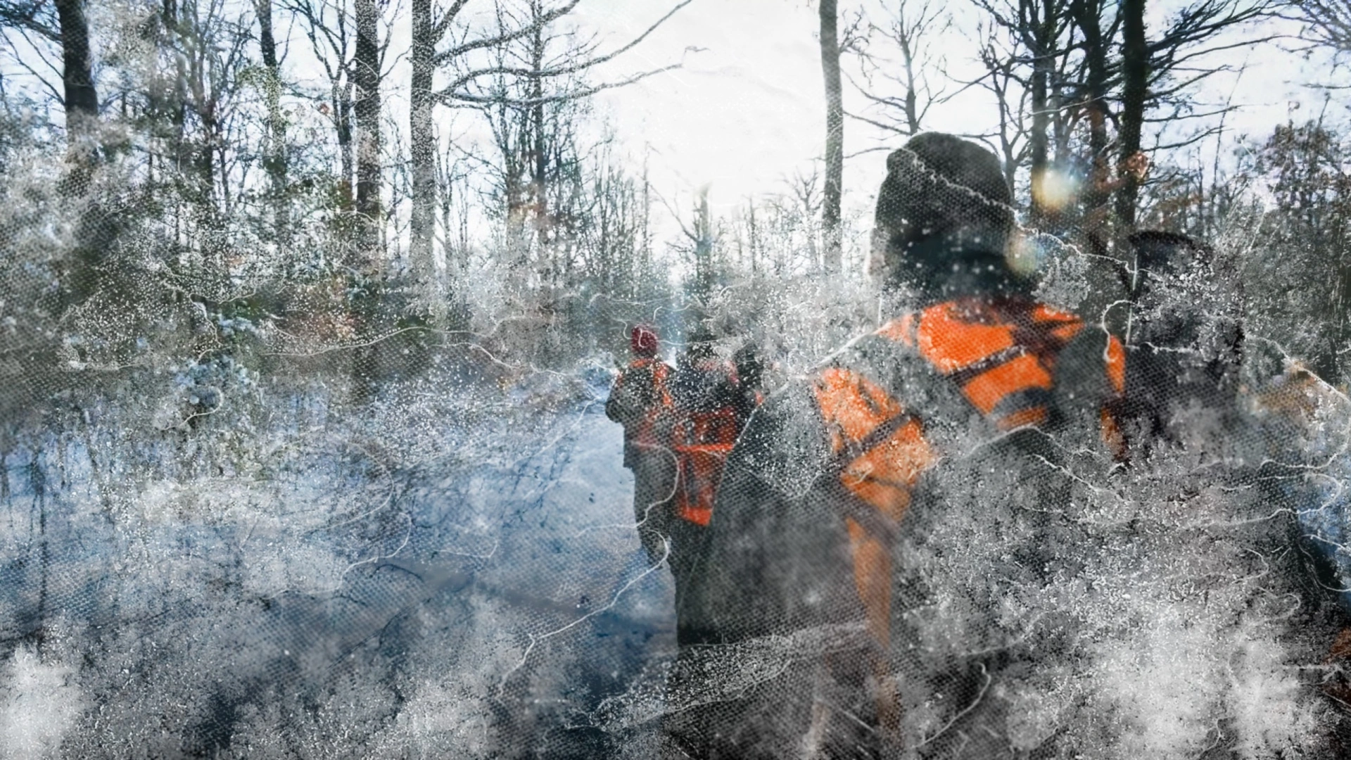 Neige en Forêt de Marchenoir