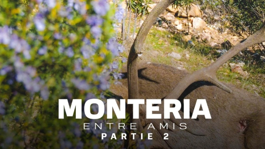 Monteria Entre Amis (partie 2)