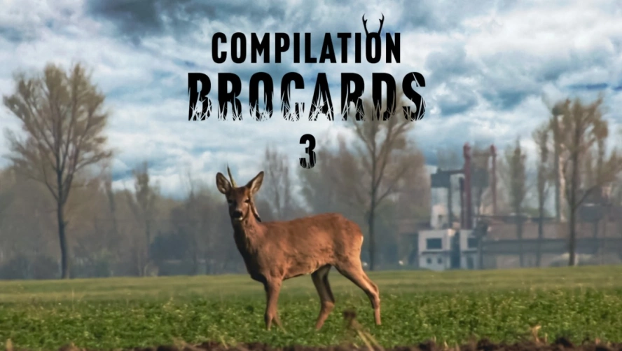 Compilation Brocards (partie 3)