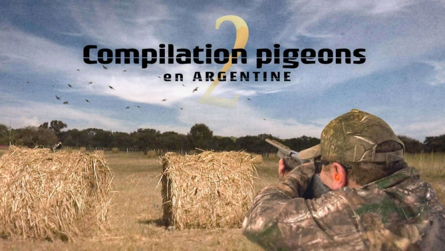 Compilation Pigeons en Argentine (épisode 2)
