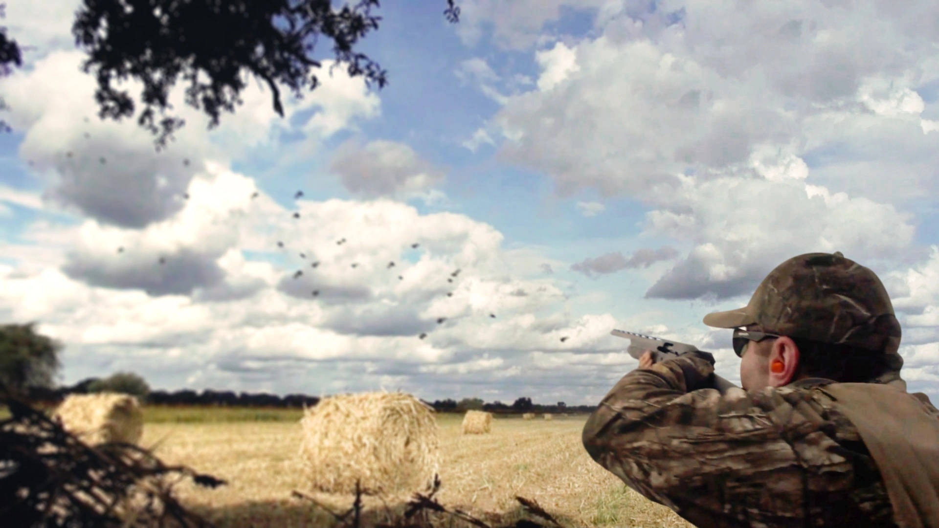 Compilation Pigeons en Argentine (épisode 3)