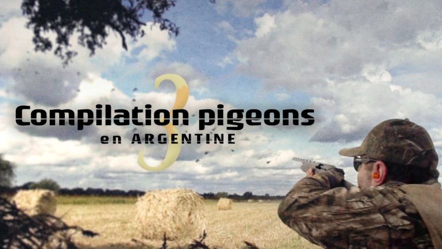 Compilation Pigeons en Argentine (épisode 3)