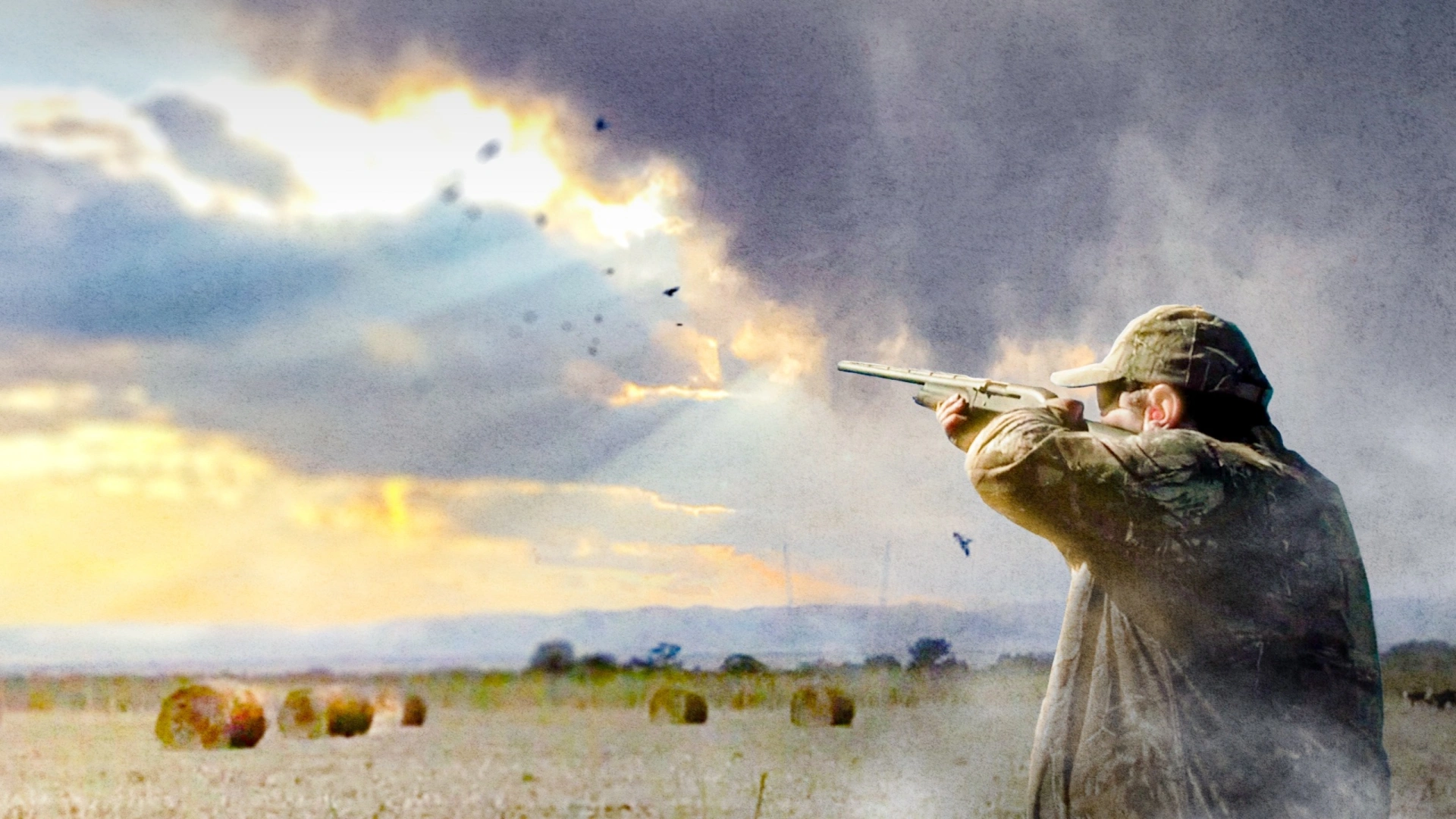 Compilation Pigeons en Argentine (épisode 4)