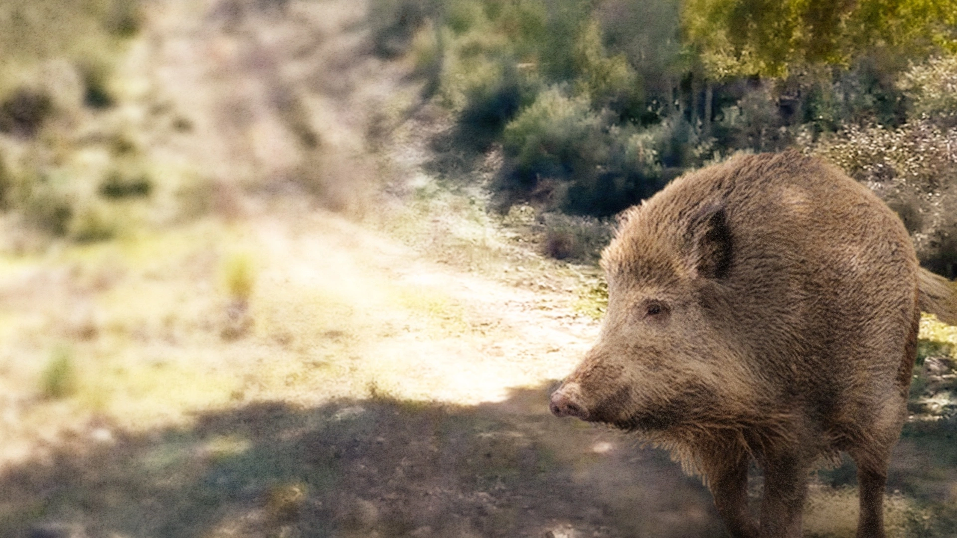 Une Seule Passion (partie 1)