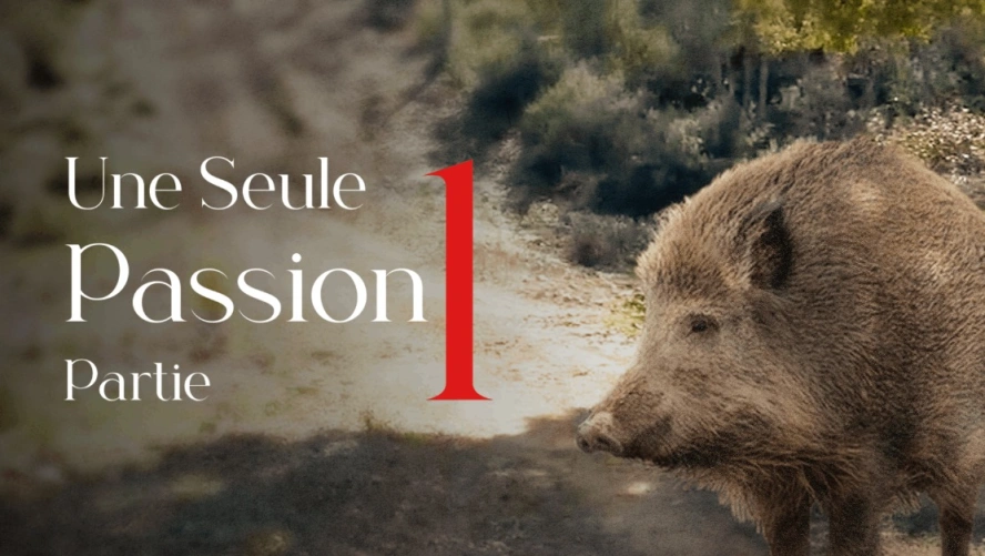Une Seule Passion (partie 1)