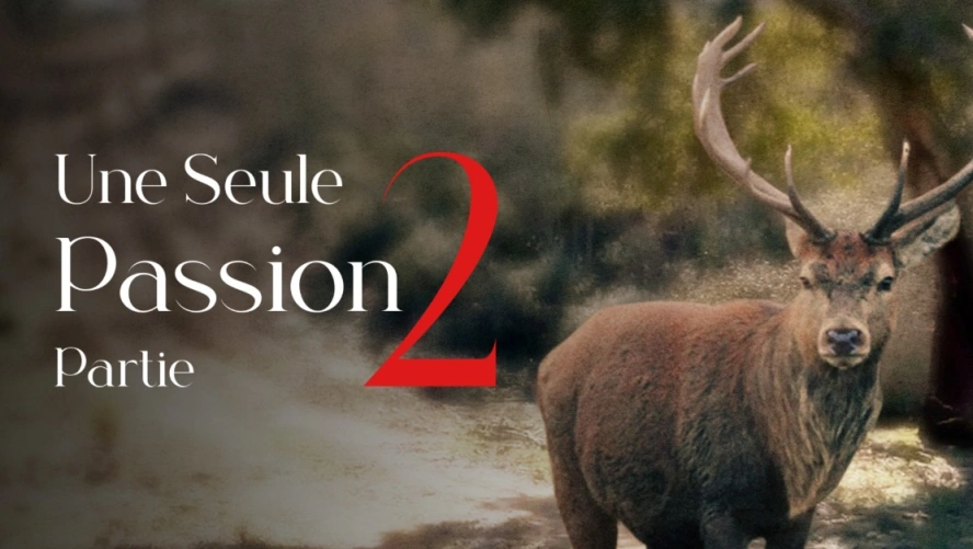Une Seule Passion (partie 2)