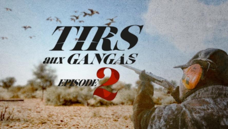 Tirs aux Gangas (épisode 2)