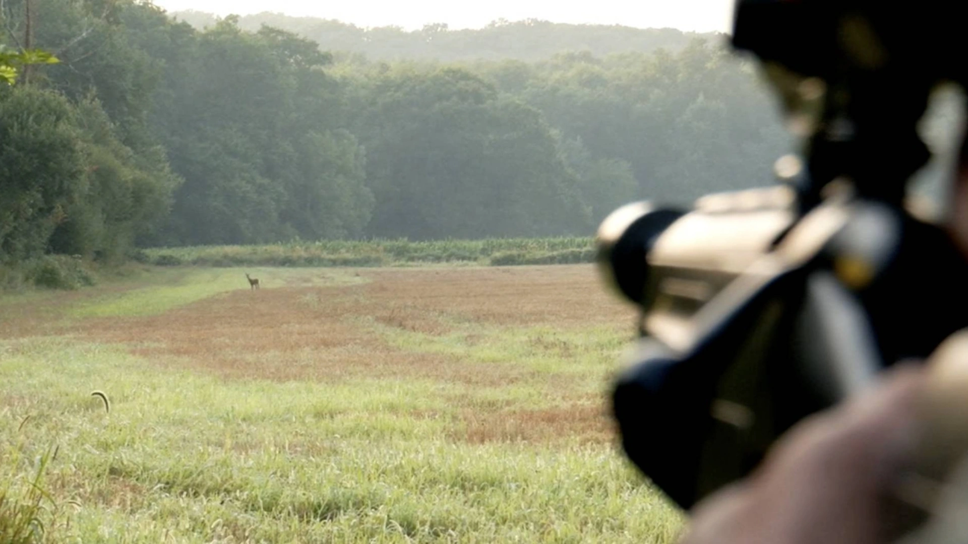 Petit Prince (épisode 2)