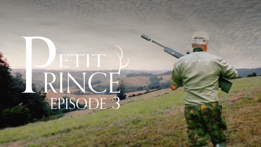 Petit Prince (épisode 3)