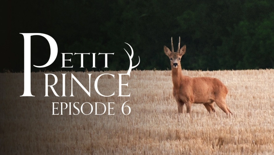 Petit Prince (épisode 6)