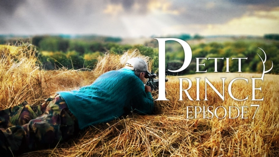 Petit Prince (épisode 7)
