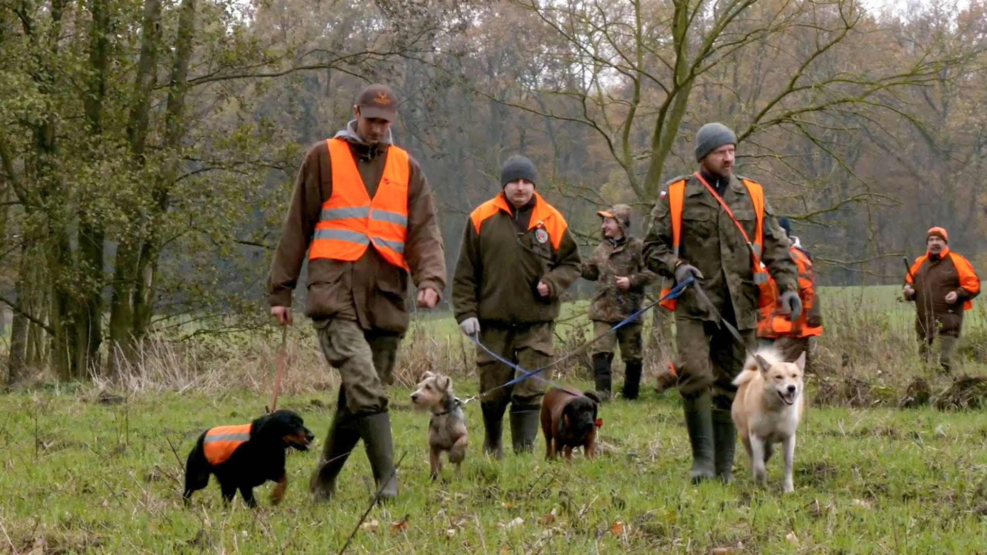 Petites Battues en Pologne (épisode 2)