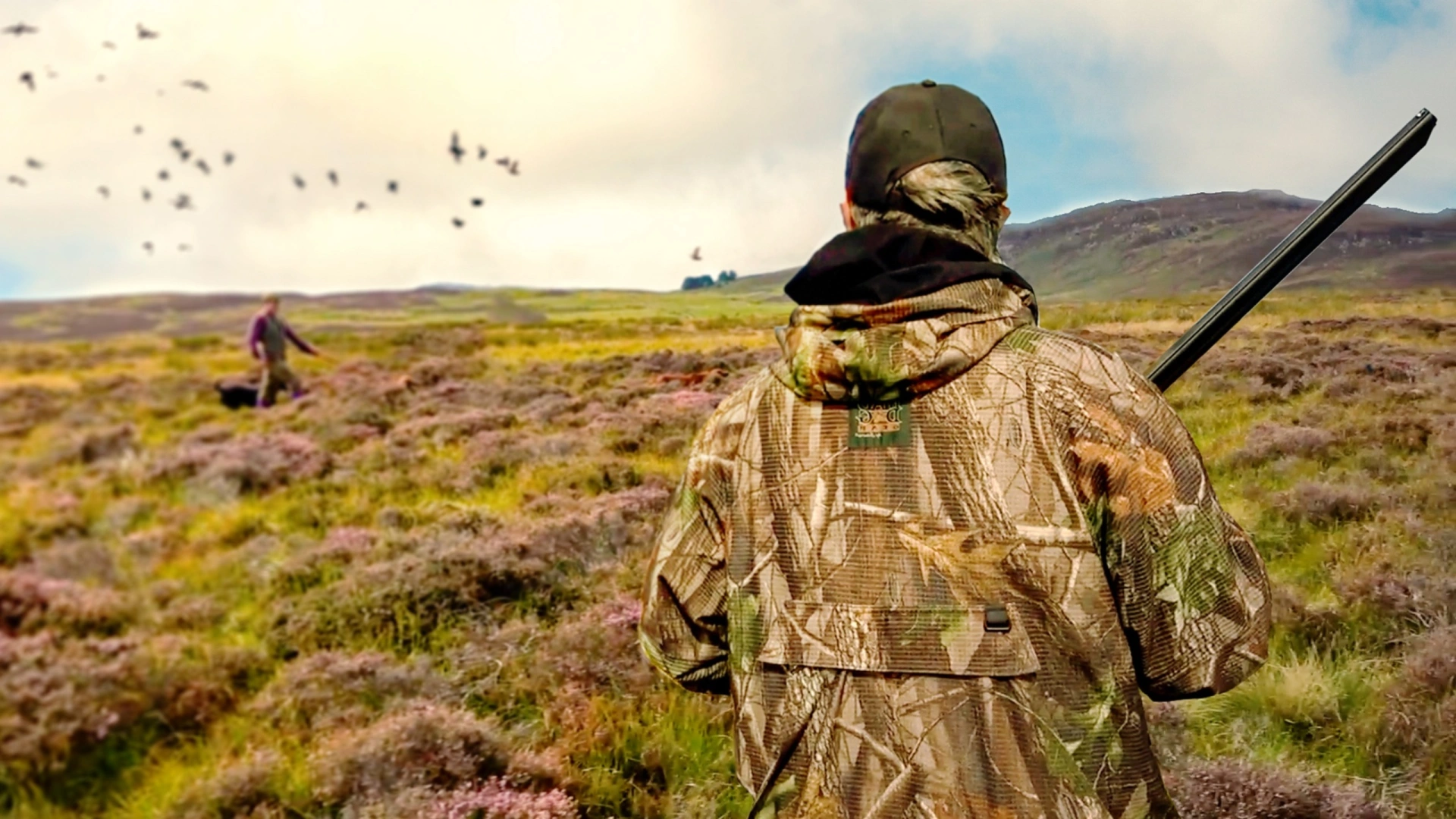 Grouses en Ecosse (partie 1)