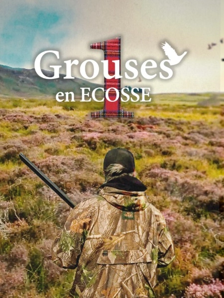 Grouses en Ecosse (partie 1)