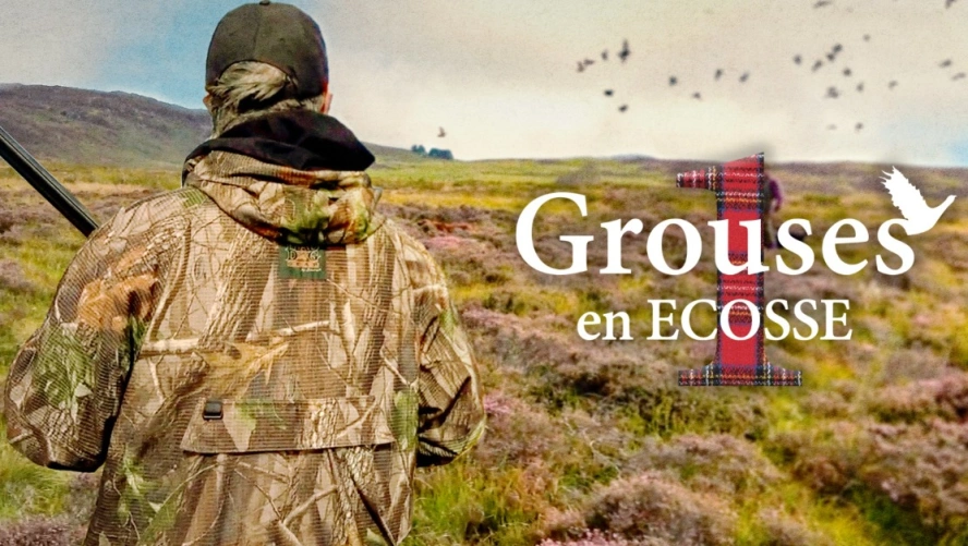 Grouses en Ecosse (partie 1)
