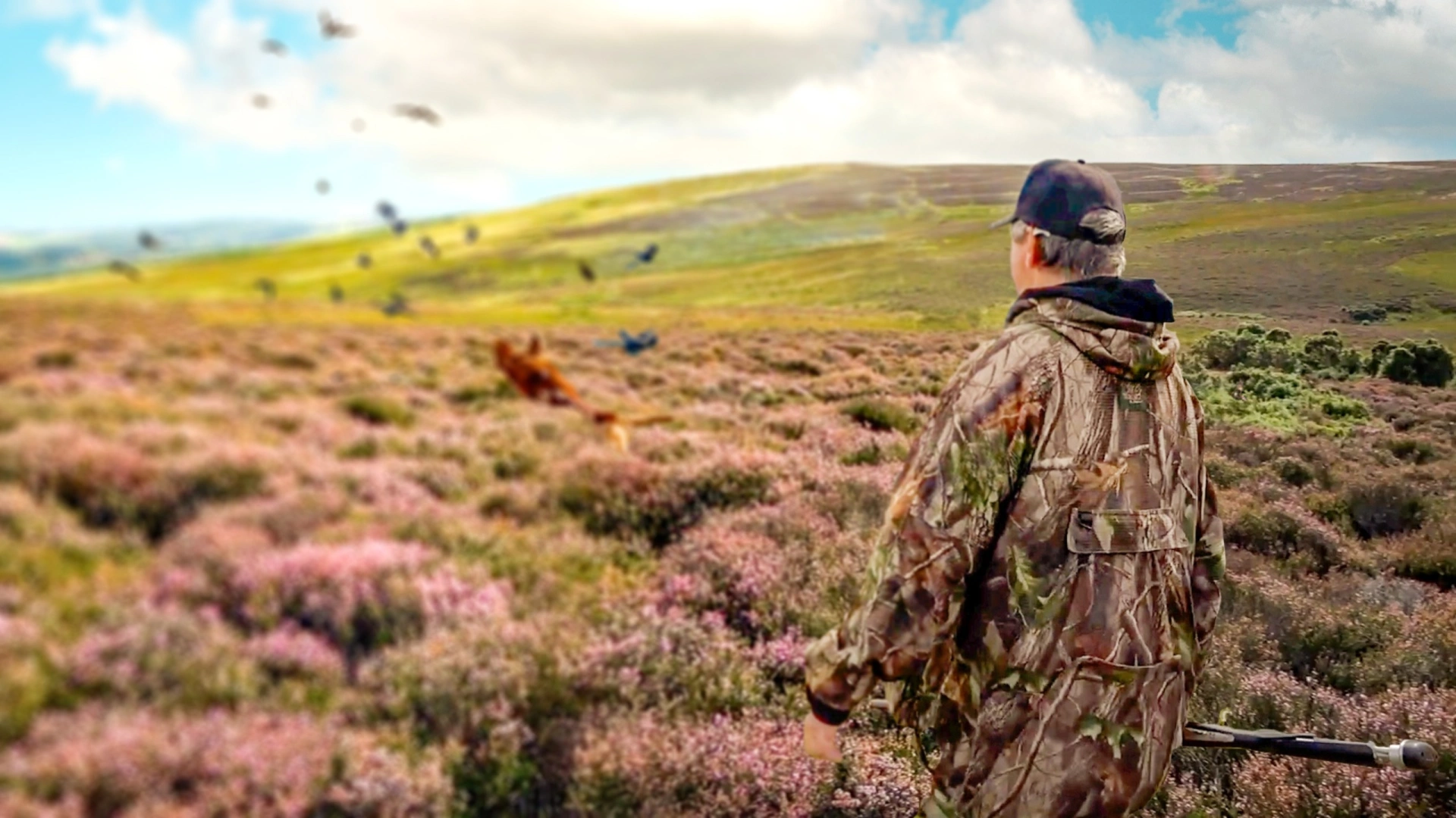 Grouses en Écosse (partie 2)