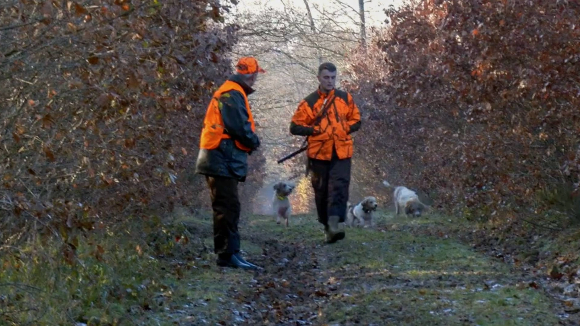 Chasse d'automne à Marchenoir