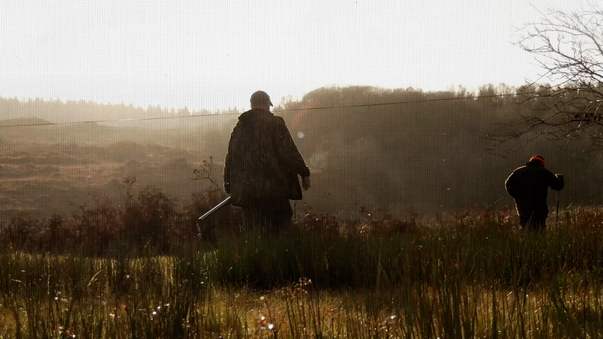 À la Recherche de la Bécasse en Irlande