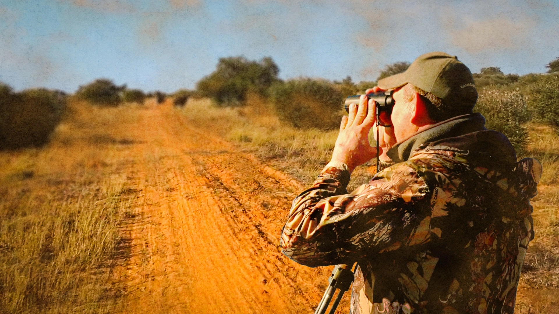 À la Recherche des Gnous (partie 1)