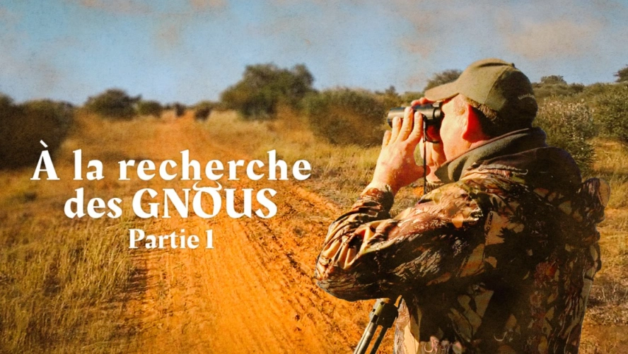 À la Recherche des Gnous (partie 1)