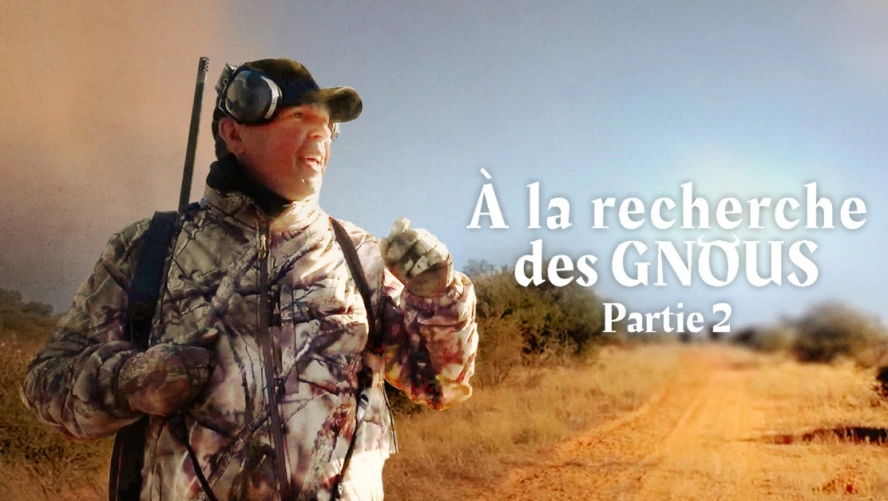 À la Recherche des Gnous (partie 2)