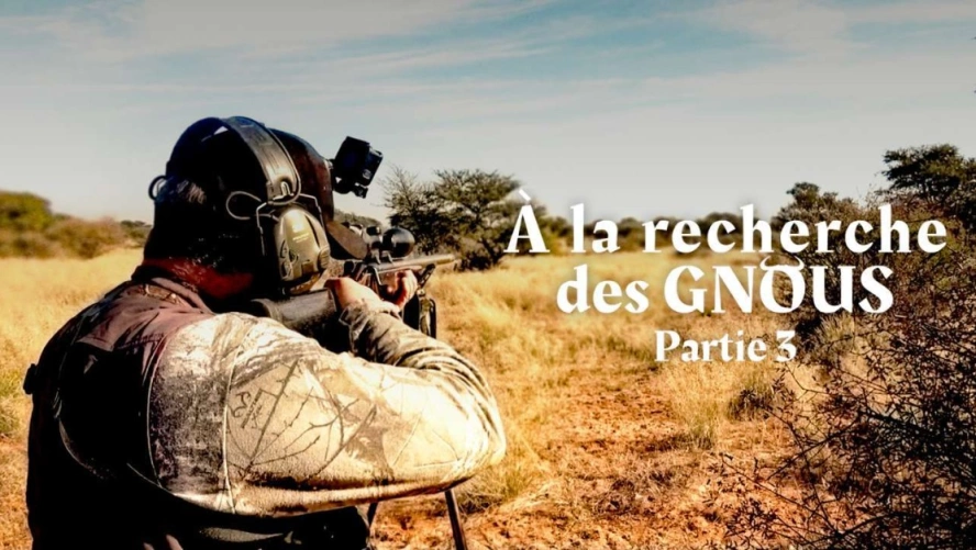 À la Recherche des Gnous (partie 3)