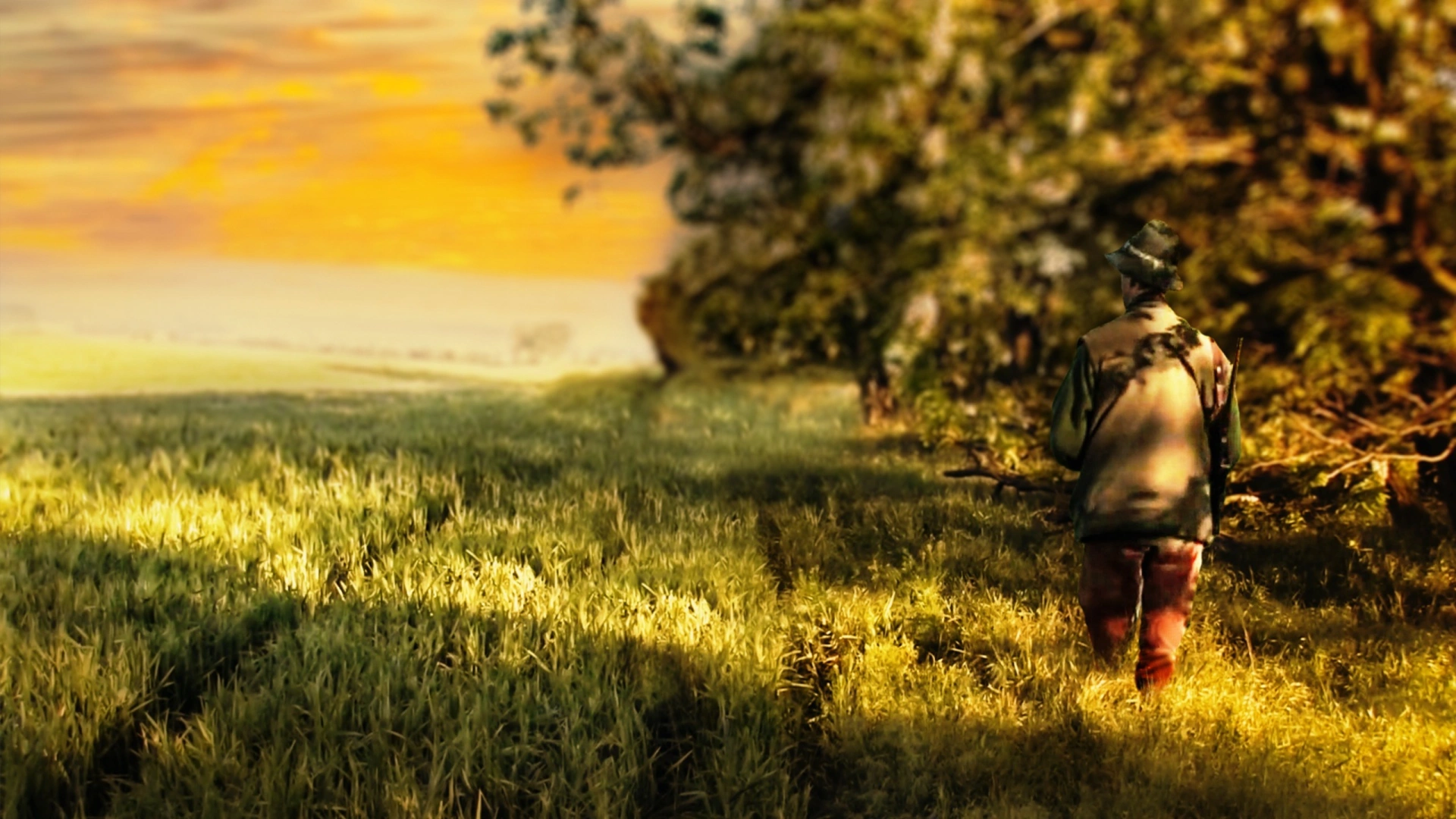 Brocards en Territoire de Hongrie (partie 1)