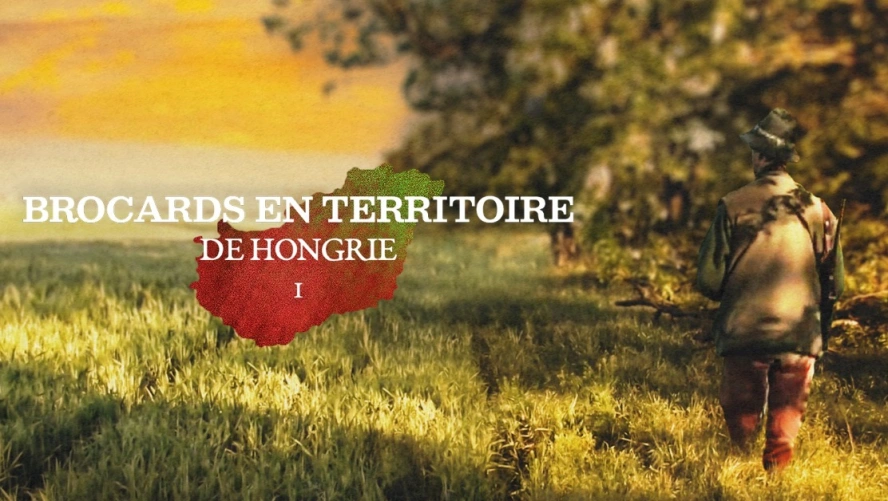 Brocards en Territoire de Hongrie (partie 1)