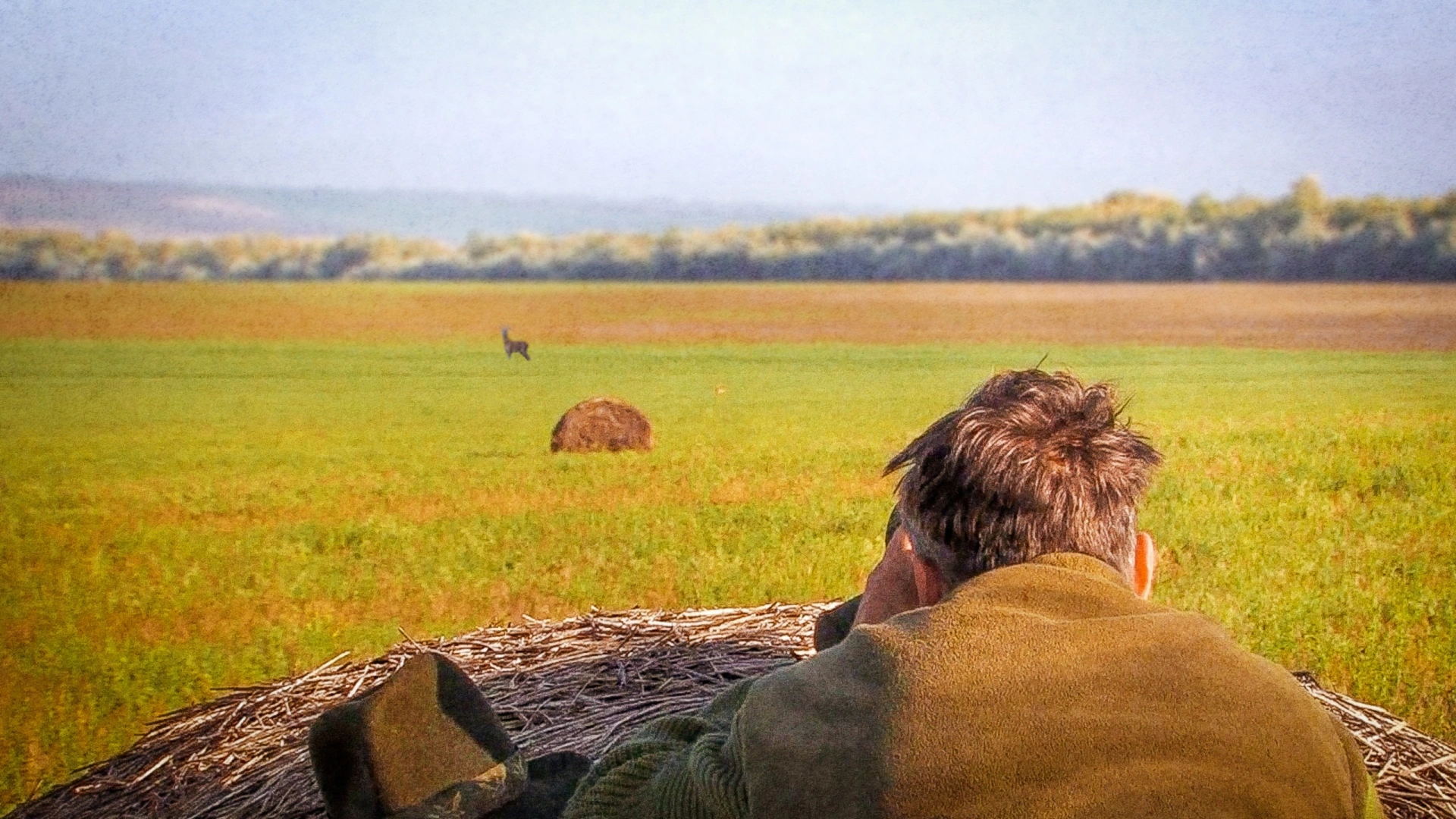 Brocards en Territoire de Hongrie (partie 2)