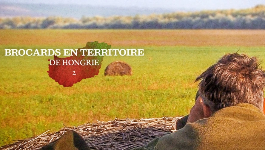 Brocards en Territoire de Hongrie (partie 2)