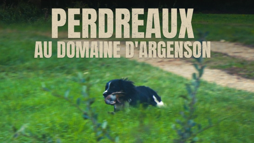 Perdreaux au Domaine d'Argenson