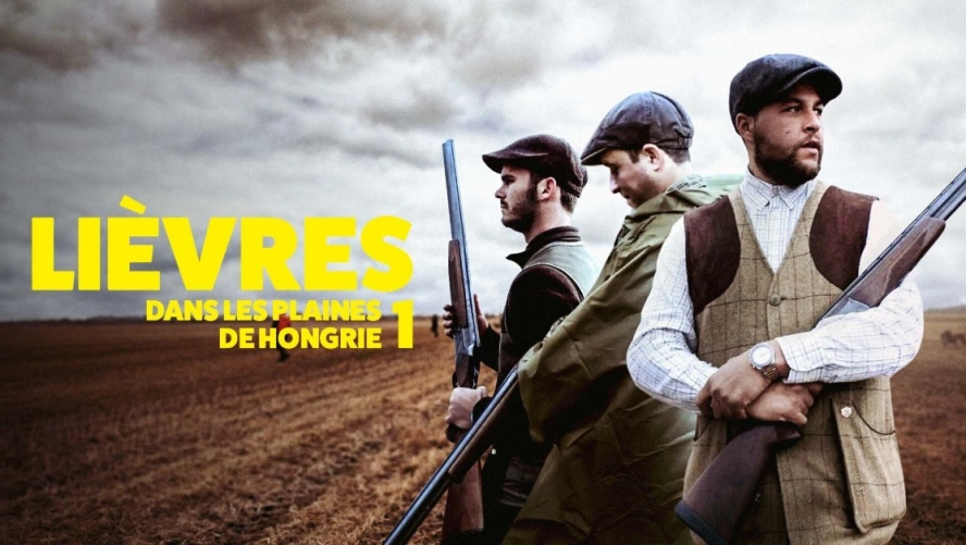 Lièvres dans les plaines de Hongrie 1