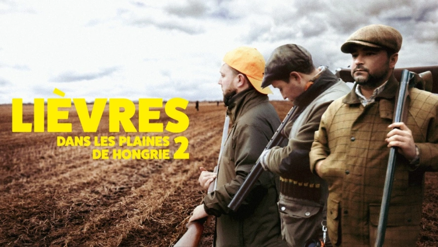 Lièvres dans les plaines de Hongrie 2
