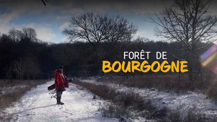 Forêt de Bourgogne