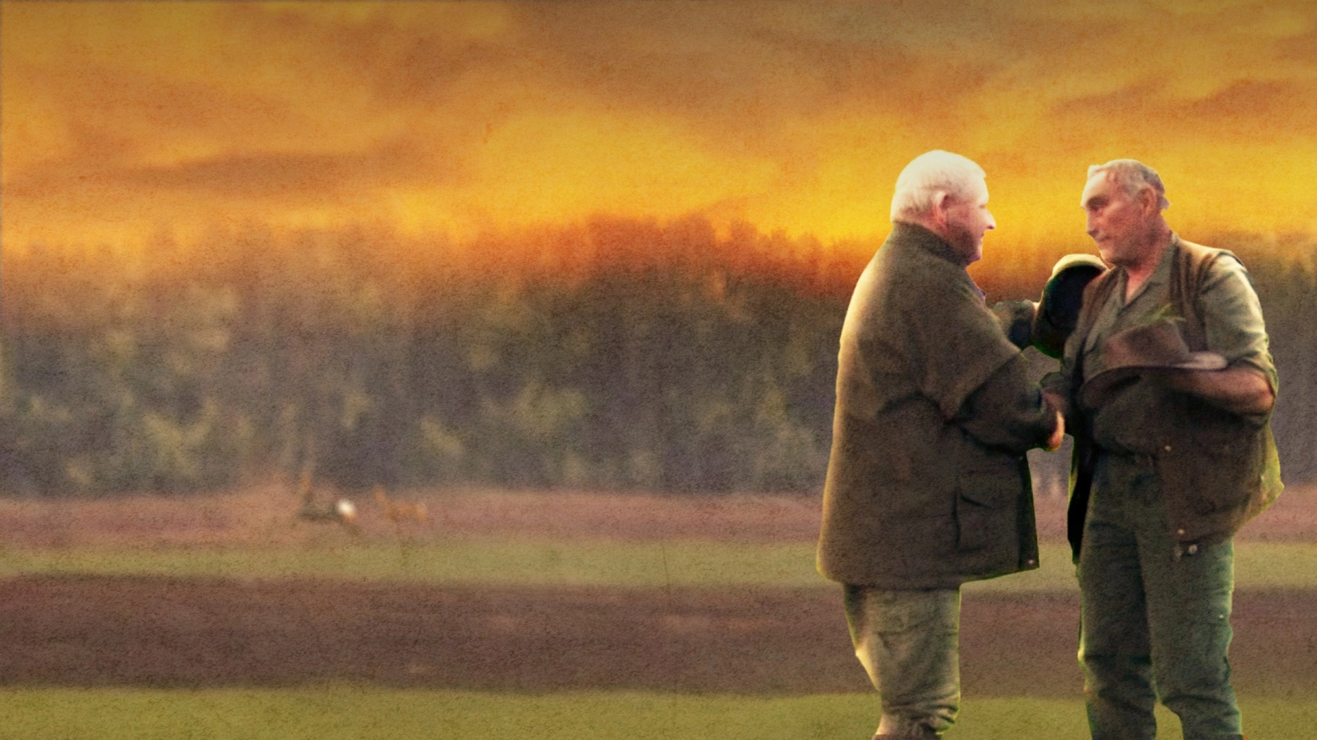 Compilation Brocards (partie 1)