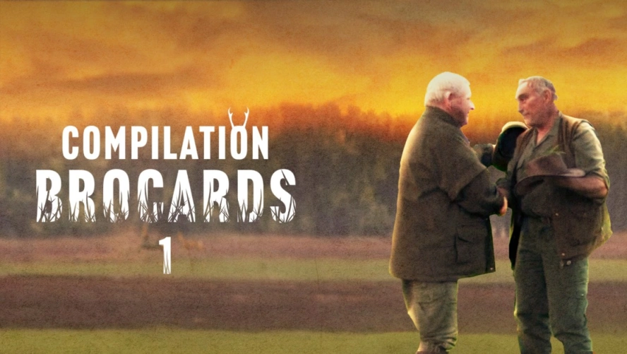 Compilation Brocards (partie 1)