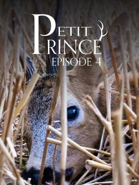 Petit Prince (épisode 4)