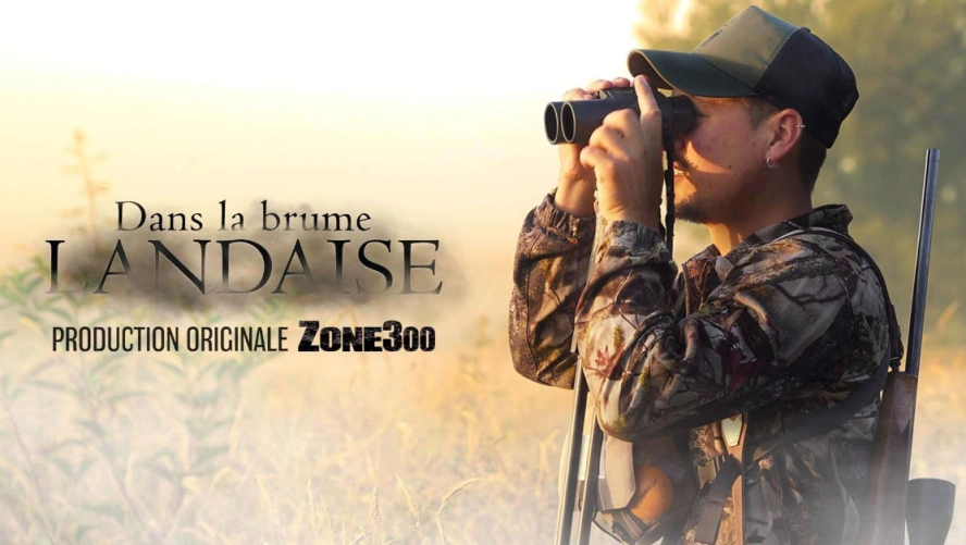 Dans la brume Landaise