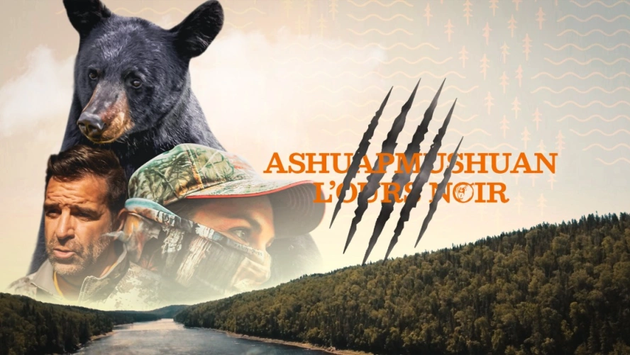 Ashuapmushuan, l'ours noir  - Chasse Québec