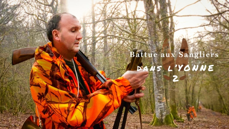 Battue aux sangliers dans l'Yonne (épisode 2)