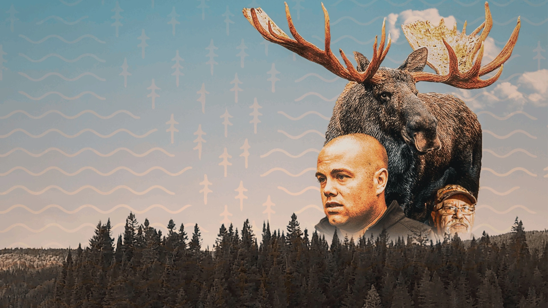 Rimouski, l'orignal en pré-rut - Chasse Québec