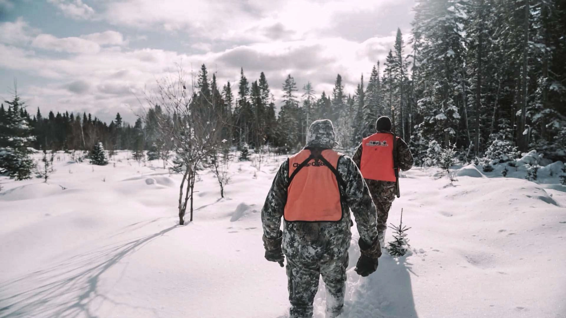 Matane, l'orignal en chasse tardive - Chasse Québec