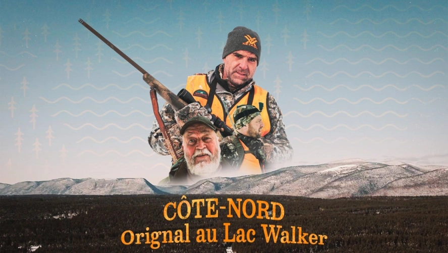 Côte-Nord, Orignal au Lac Walker - Chasse Québec
