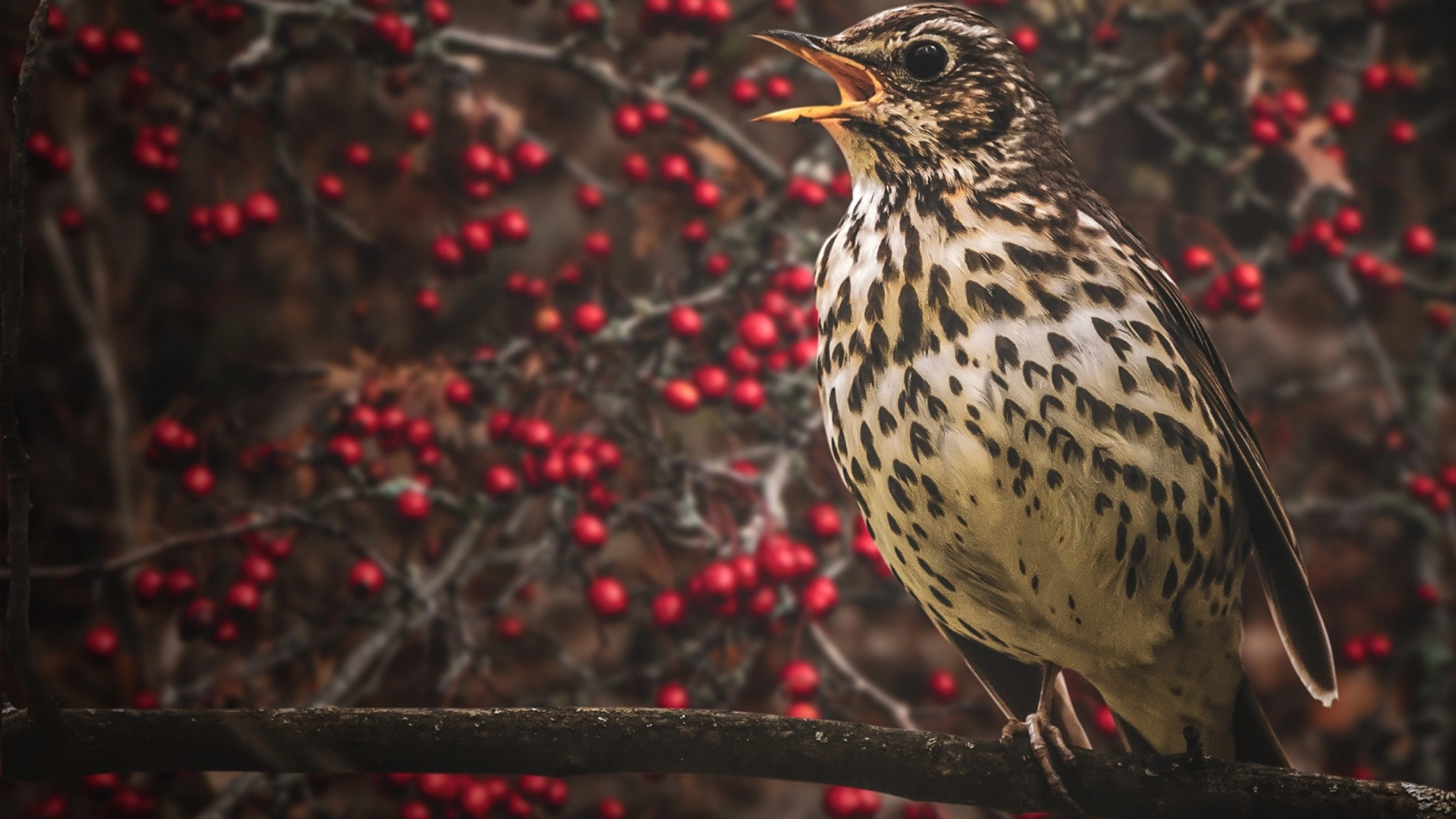 La Glu, un patrimoine effacé
