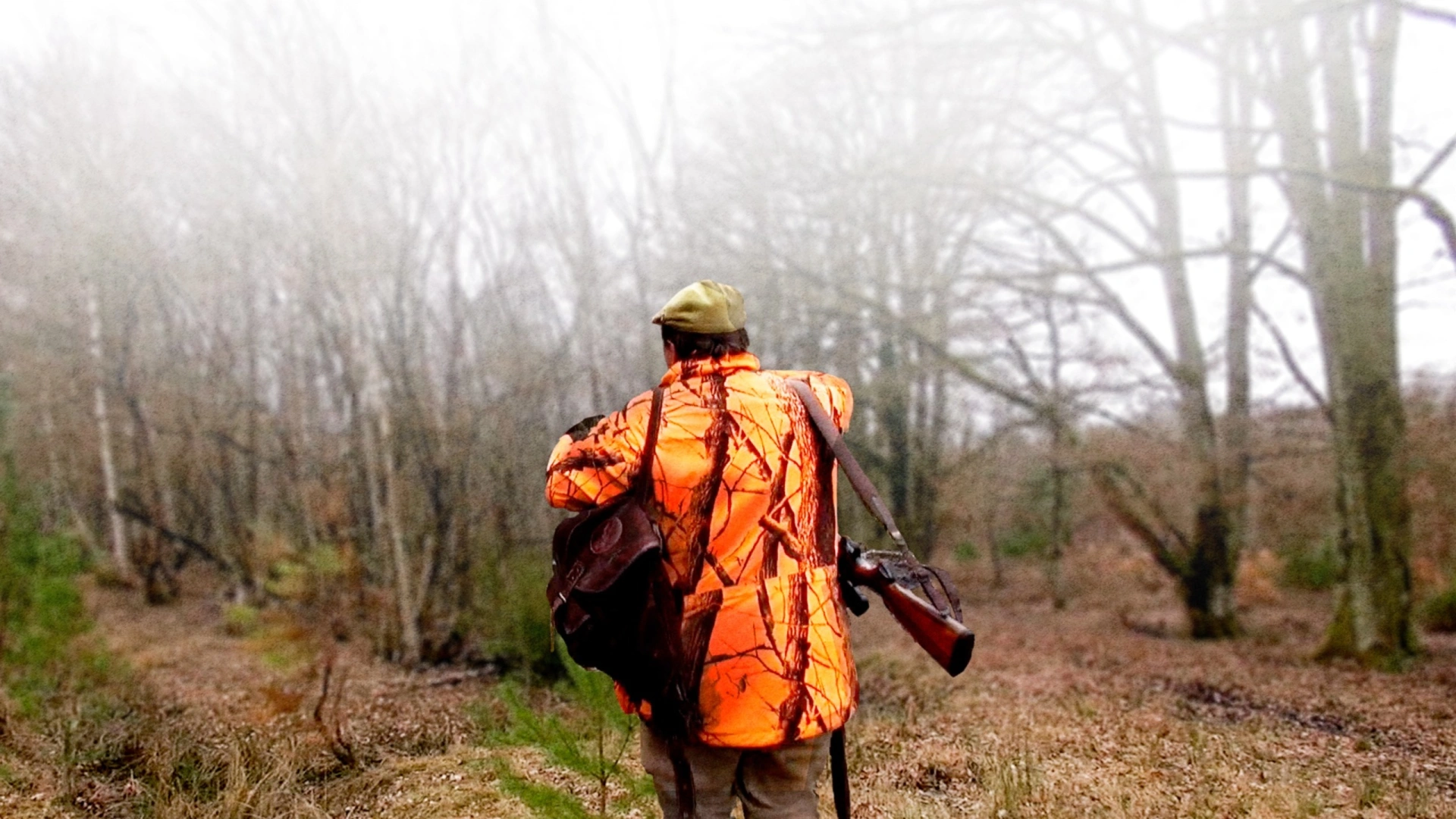 La Sologne et ses bêtes noires