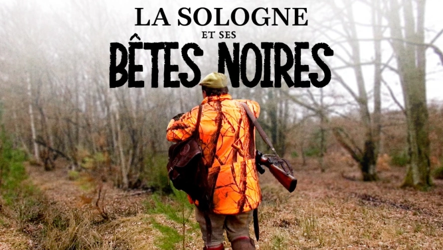 La Sologne et ses bêtes noires