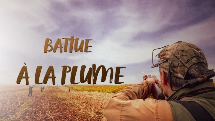 Battue à la plume