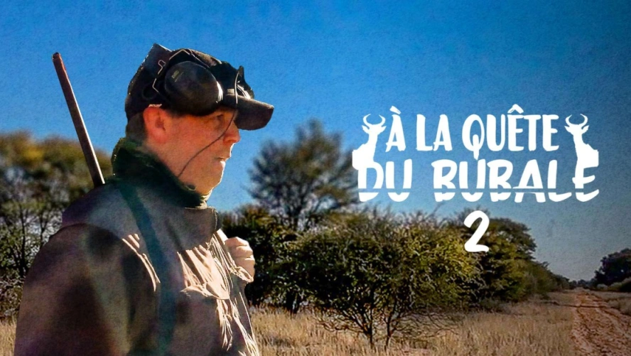 À la quête du bubale (épisode 2)
